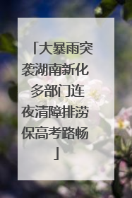 大暴雨突袭湖南新化 多部门连夜清障排涝保高考路畅