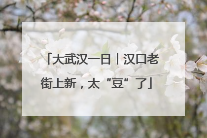 大武汉一日︱汉口老街上新，太“豆”了