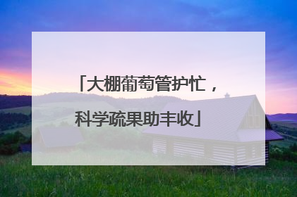 大棚葡萄管护忙，科学疏果助丰收