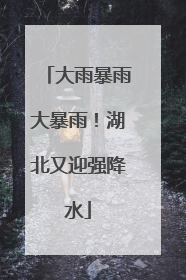 大雨暴雨大暴雨！湖北又迎强降水