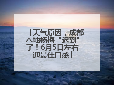 天气原因，成都本地杨梅“迟到”了！6月5日左右迎最佳口感