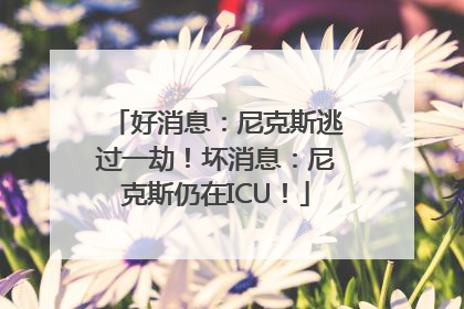 好消息：尼克斯逃过一劫！坏消息：尼克斯仍在ICU！