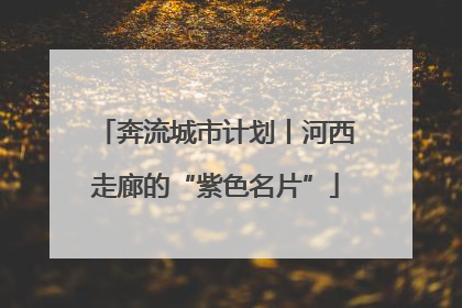 奔流城市计划丨河西走廊的“紫色名片”