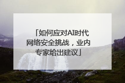 如何应对AI时代网络安全挑战，业内专家给出建议
