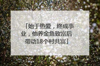 始于热爱，终成事业，他养金鱼致富后带动18个村共富