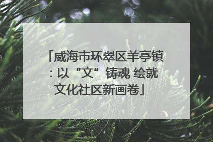 威海市环翠区羊亭镇：以“文”铸魂 绘就文化社区新画卷