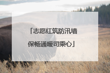 志愿红筑防汛墙 保畅通暖司乘心