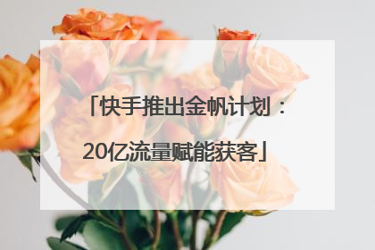 快手推出金帆计划：20亿流量赋能获客