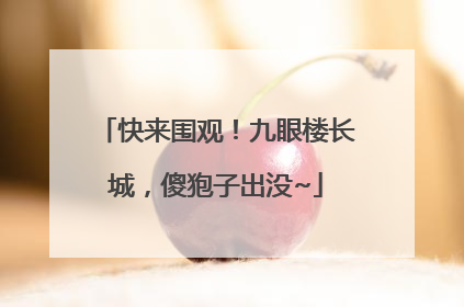 快来围观！九眼楼长城，傻狍子出没~