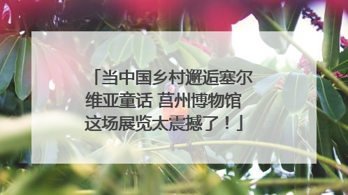 当中国乡村邂逅塞尔维亚童话 莒州博物馆这场展览太震撼了！