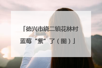 德兴市绕二镇花林村蓝莓“紫”了（图）