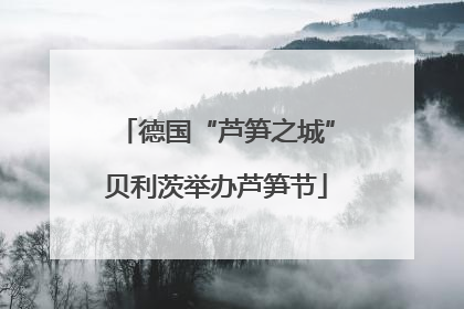 德国“芦笋之城”贝利茨举办芦笋节