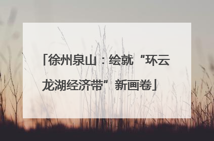 徐州泉山：绘就“环云龙湖经济带”新画卷