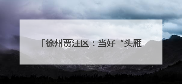 徐州贾汪区：当好“头雁”代表 助力乡村振兴