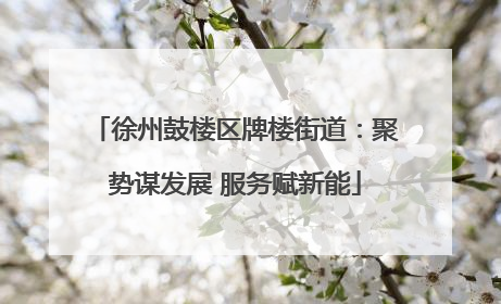 徐州鼓楼区牌楼街道：聚势谋发展 服务赋新能