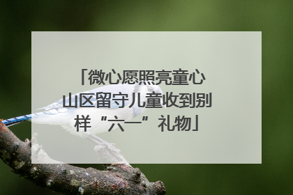 微心愿照亮童心 山区留守儿童收到别样“六一”礼物
