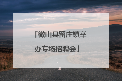 微山县留庄镇举办专场招聘会