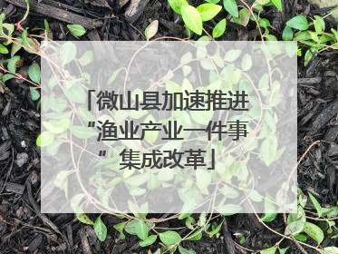 微山县加速推进“渔业产业一件事”集成改革