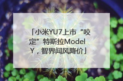小米YU7上市“咬定”特斯拉Model Y，智界闻风降价