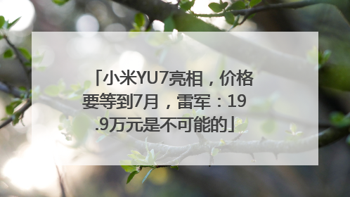 小米YU7亮相，价格要等到7月，雷军：19.9万元是不可能的