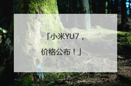 小米YU7，价格公布！