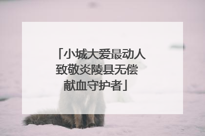 小城大爱最动人 致敬炎陵县无偿献血守护者
