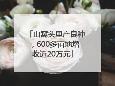 山窝头里产良种，600多亩地增收近20万元