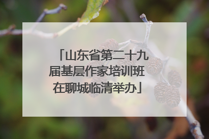 山东省第二十九届基层作家培训班在聊城临清举办