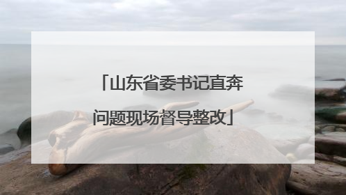 山东省委书记直奔问题现场督导整改