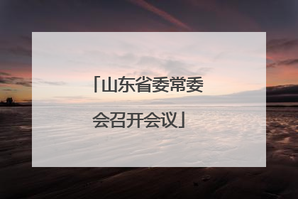 山东省委常委会召开会议