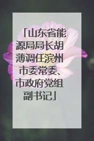 山东省能源局局长胡薄调任滨州市委常委、市政府党组副书记