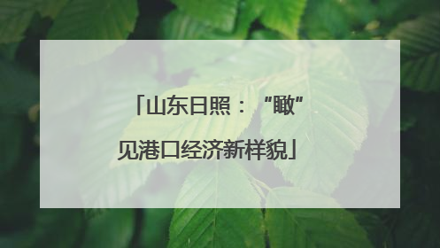 山东日照：“瞰”见港口经济新样貌