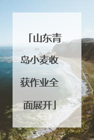 山东青岛小麦收获作业全面展开