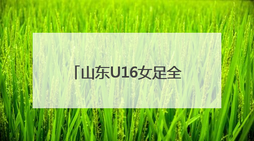 山东U16女足全运会获第四，三名潍坊队员表现出色！
