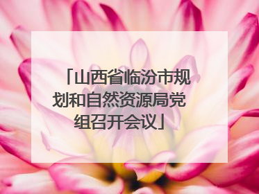 山西省临汾市规划和自然资源局党组召开会议