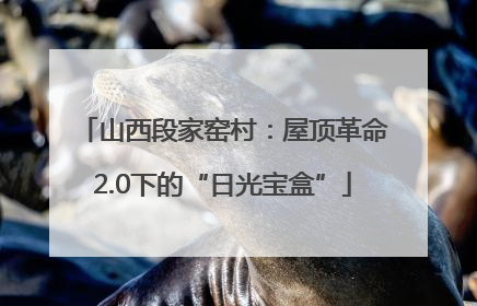 山西段家窑村：屋顶革命2.0下的“日光宝盒”