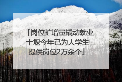 岗位扩增量撬动就业 十堰今年已为大学生提供岗位2万余个