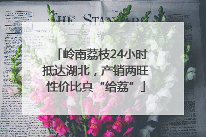 岭南荔枝24小时抵达湖北，产销两旺性价比真“给荔”