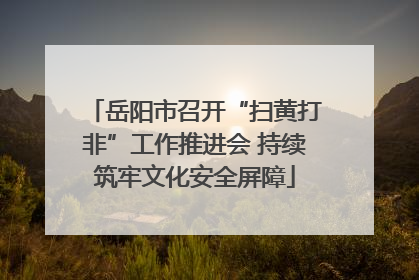 岳阳市召开“扫黄打非”工作推进会 持续筑牢文化安全屏障