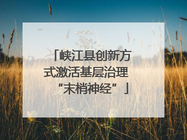 峡江县创新方式激活基层治理“末梢神经”