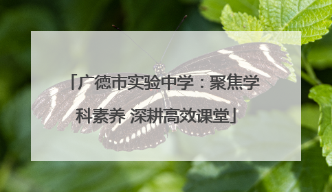 广德市实验中学：聚焦学科素养 深耕高效课堂