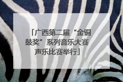 广西第二届“金铜鼓奖”系列音乐大赛声乐比赛举行