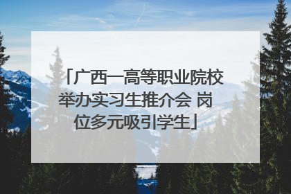 广西一高等职业院校举办实习生推介会 岗位多元吸引学生
