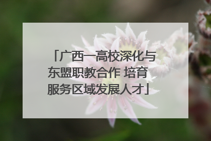 广西一高校深化与东盟职教合作 培育服务区域发展人才