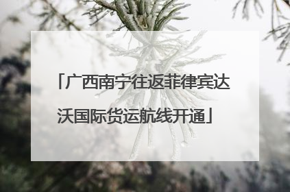 广西南宁往返菲律宾达沃国际货运航线开通