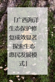 广西海洋生态保护修复成效显著 探索生态惠民发展模式
