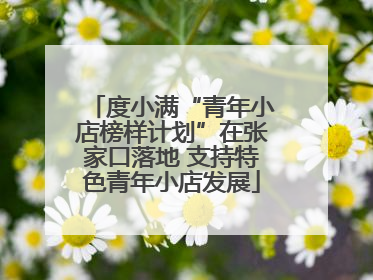 度小满“青年小店榜样计划”在张家口落地 支持特色青年小店发展