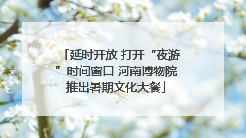 延时开放 打开“夜游”时间窗口 河南博物院推出暑期文化大餐