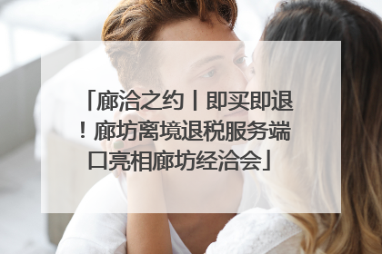 廊洽之约丨即买即退！廊坊离境退税服务端口亮相廊坊经洽会