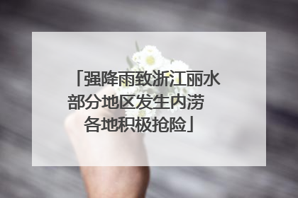 强降雨致浙江丽水部分地区发生内涝 各地积极抢险